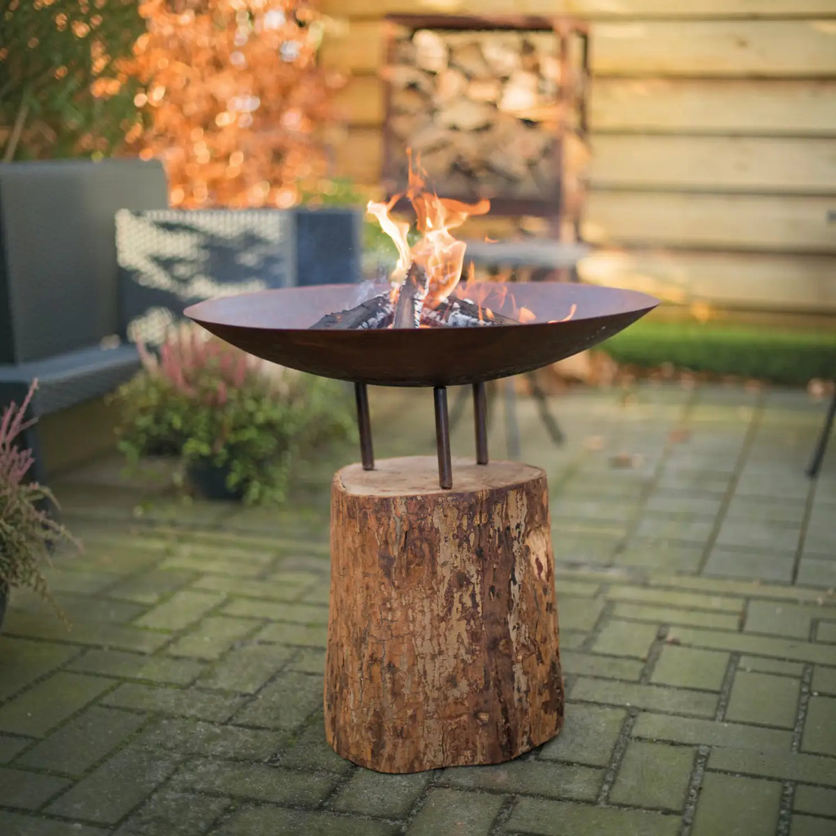 Corten stål fire pit på træstubbe