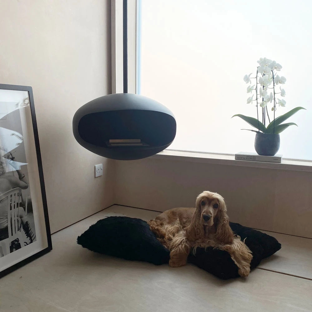 Cocoon Aeris Sort med sort loftstang
