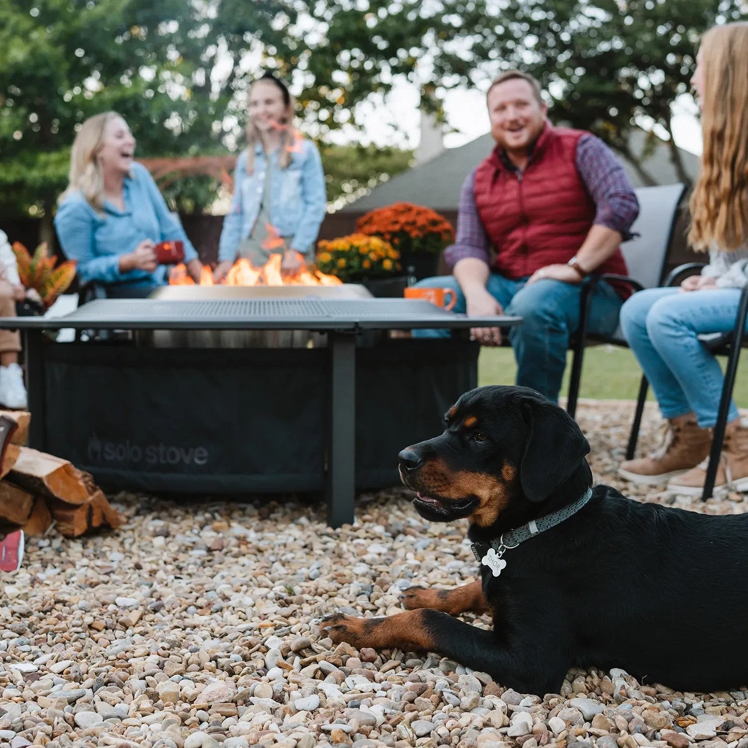 Surround til Solo Stove Yukon